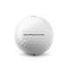 Quick Ship Titleist Pro V1 Logo Golf Balls / Dozen 
